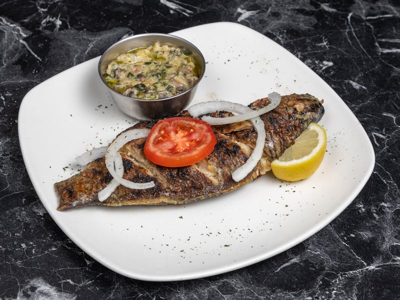 Explore Tilapia